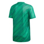 Maillot/Tenue Irlande Du Nord Domicile Euro 2020